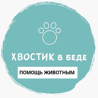 Logo of the Telegram group ХВОСТИК В БЕДЕ / потеряшки и животные НАГАТИНО / ПОМОЩЬ ЖИВОТНЫМ Москва МО ЮАО САО ЗАО ВАО ЮЗАО ЮВАО СВАО СЗАО зоопоиск