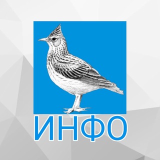 Logo of the Telegram channel Жаворонки.инфо