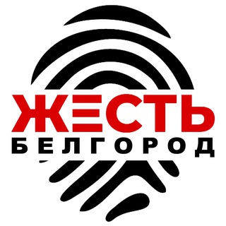 Logo of the Telegram channel Жесть Белгород